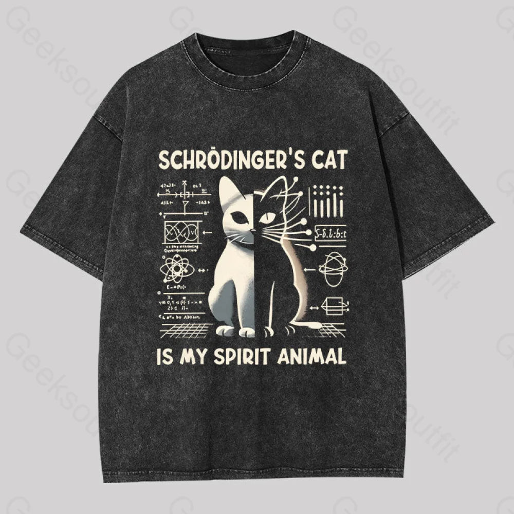 Schrodinger's Сat Science Washed T-shirt