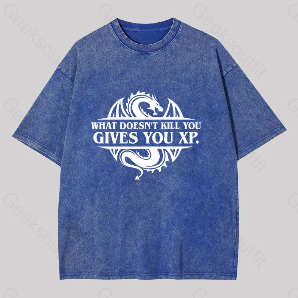 What Doesnt Kill You Give You Experience Washed T-shirt